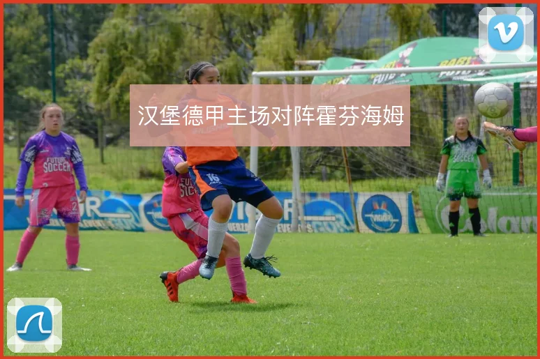 汉堡德甲主场对阵霍芬海姆