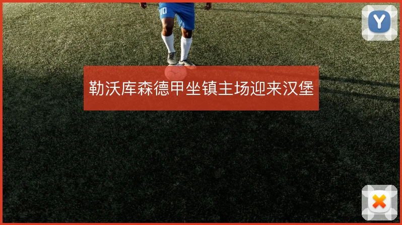 勒沃库森德甲坐镇主场迎来汉堡