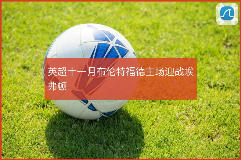 英超十一月布伦特福德主场迎战埃弗顿