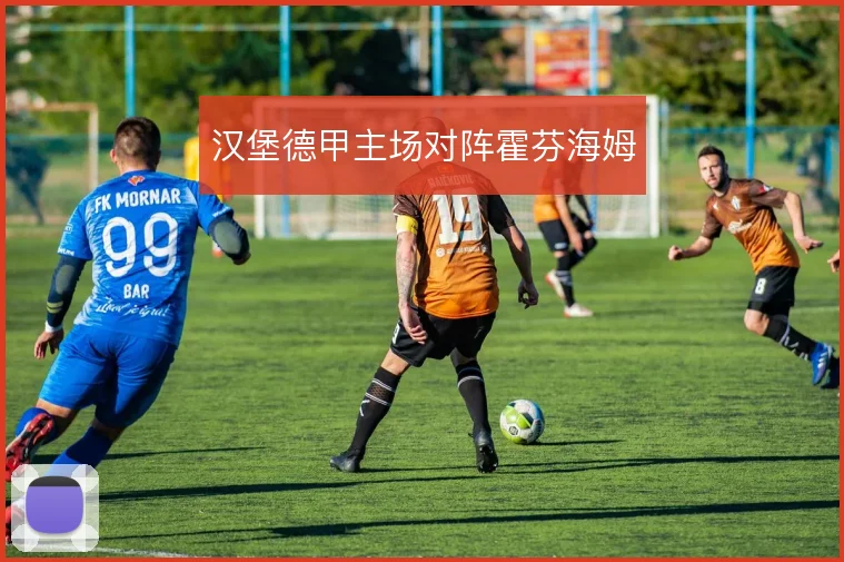 汉堡德甲主场对阵霍芬海姆