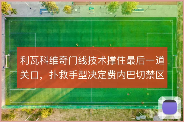利瓦科维奇门线技术撑住最后一道关口,扑救手型决定费内巴切禁区内安全感